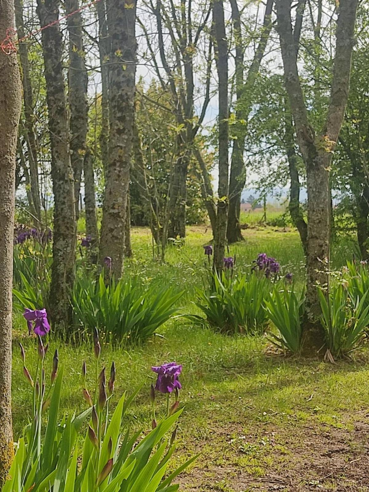 La Frenaie Panzió Saint-Cyr-sur-le-Rhone Kültér fotó